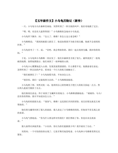 【五年级作文】小乌龟历险记(新传)