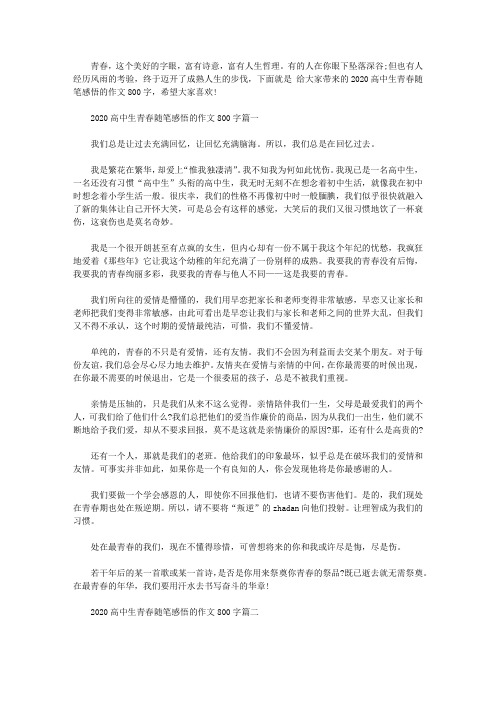2020高中生青春随笔感悟的作文800字【精品】