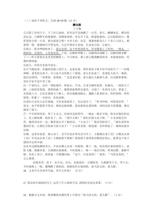 丁立梅《醉太阳》中考阅读练习及答案