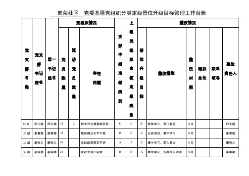 党委基层党组织分类定级晋位升级目标管理工作台账