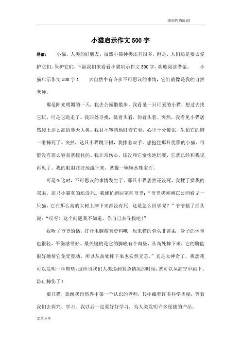 小猫启示作文500字