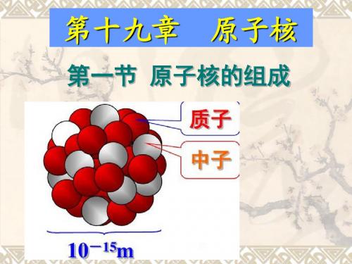 19.1原子核的组成