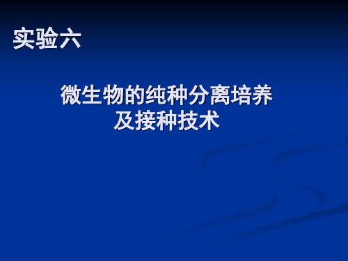 微生物的纯种分离培养及接种技术.