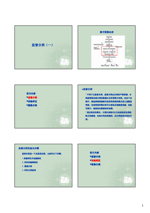 遥感实验：监督分类