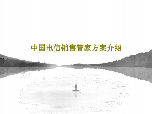 中国电信销售管家方案介绍30页PPT