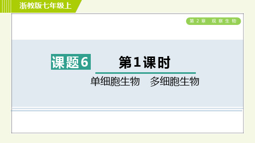 浙教版七年级科学上册第二章单细胞生物 多细胞生物