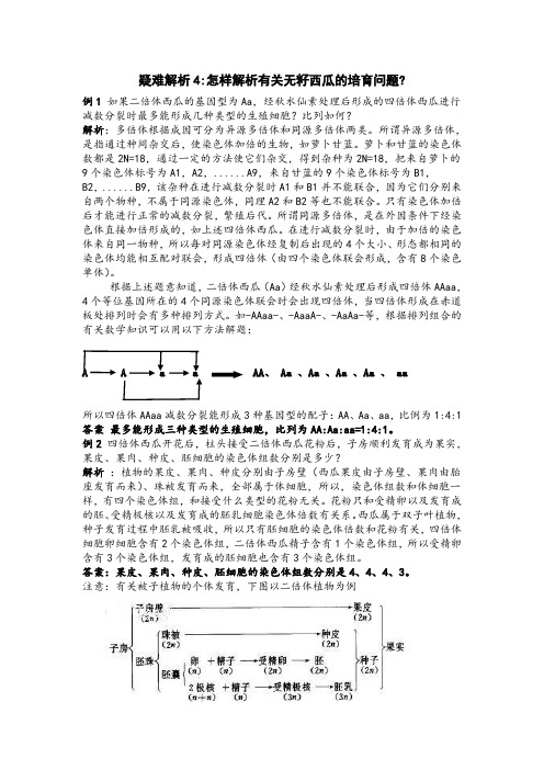 疑难解析4-怎样解析有关无籽西瓜的培育问题？