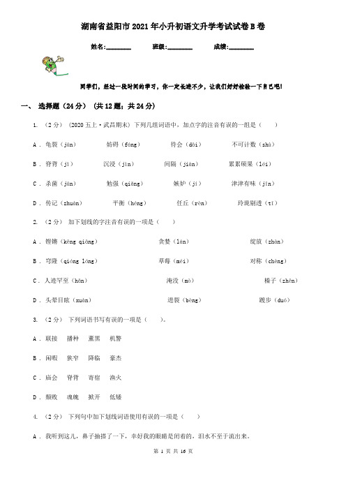 湖南省益阳市2021年小升初语文升学考试试卷B卷