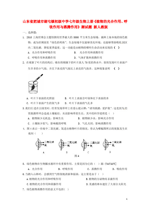 七年级生物上册《植物的光合作用、呼吸作用与蒸腾作用》测试题(无答案)-新人教版