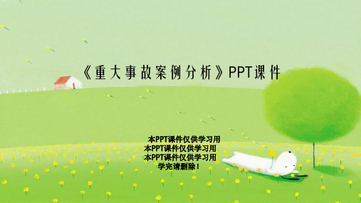 《重大事故案例分析》PPT课件