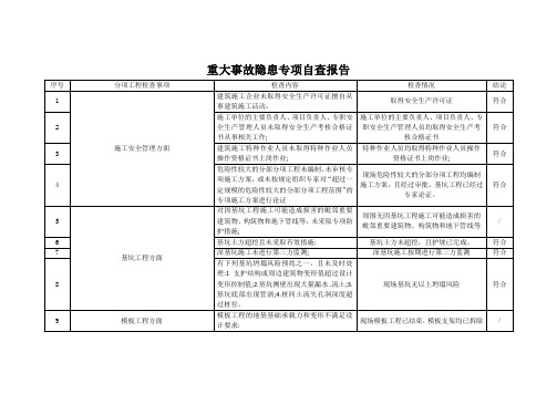 重大事故隐患专项自查报告