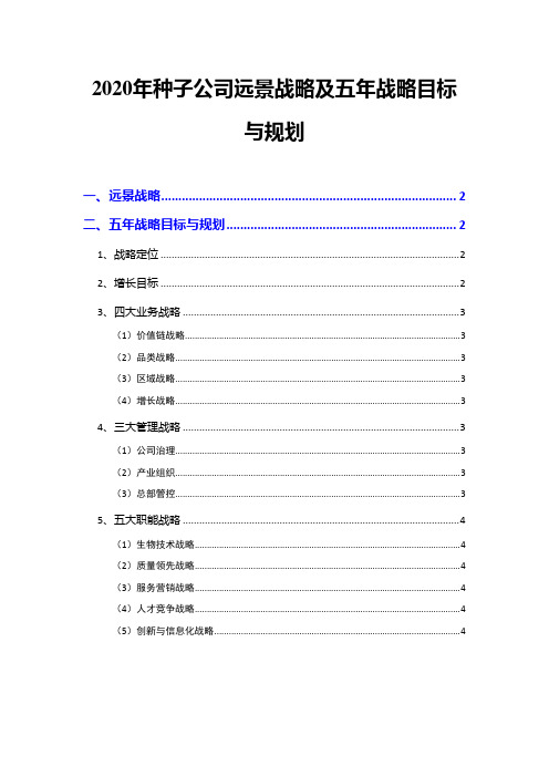 2020年种子公司远景战略及五年战略目标与规划