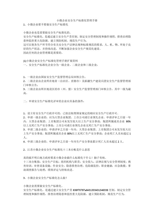 小微企业安全生产标准化管理手册安全生产