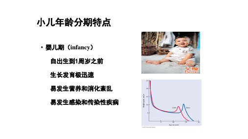 小儿年龄分期特点