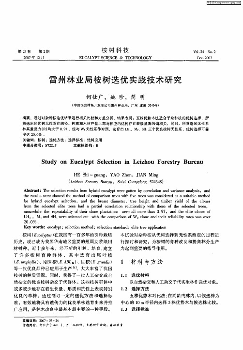 雷州林业局桉树选优实践技术研究