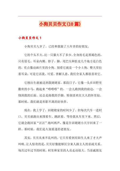 小狗贝贝作文(10篇)