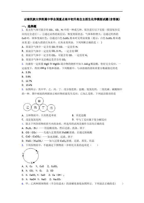 云南民族大学附属中学全国重点高中初升高自主招生化学模拟试题(含答案)