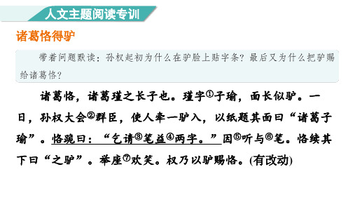 三年级语文上册人文主题阅读专训课件