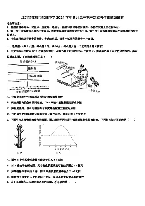 江苏省盐城市盐城中学2024学年5月高三第三次联考生物试题试卷含解析