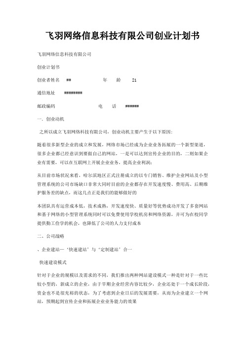 飞羽网络信息科技有限公司创业计划书