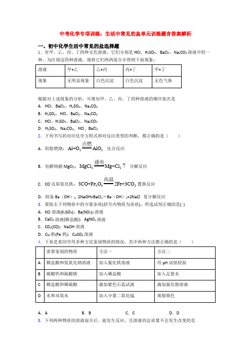 中考化学专项训练：生活中常见的盐单元训练题含答案解析