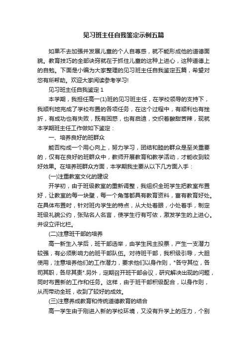 见习班主任自我鉴定示例五篇