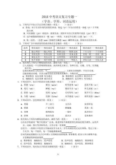 2018中考语文复习专题一(字音、字形、词语运用)