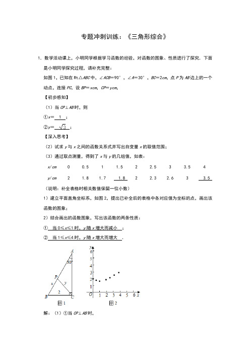 2020届九年级中考数学专题冲刺训练：《三角形综合》(解析版)