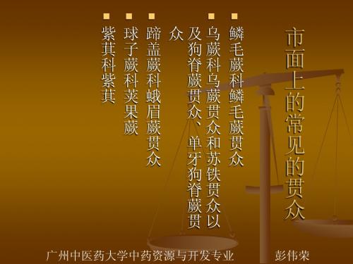 药用贯众鉴别