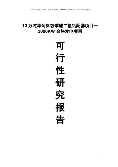 10万吨年饲料级磷酸二氢钙配套项目—3000KW余热发电建设项目可行性研究报告