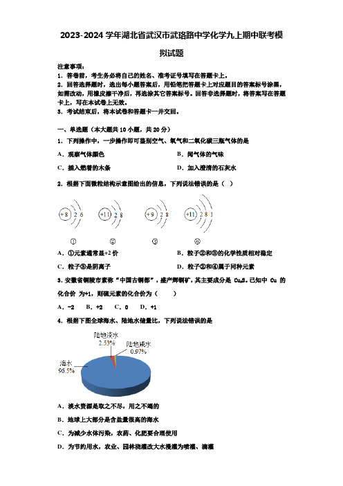 2023-2024学年湖北省武汉市武珞路中学化学九上期中联考模拟试题含解析