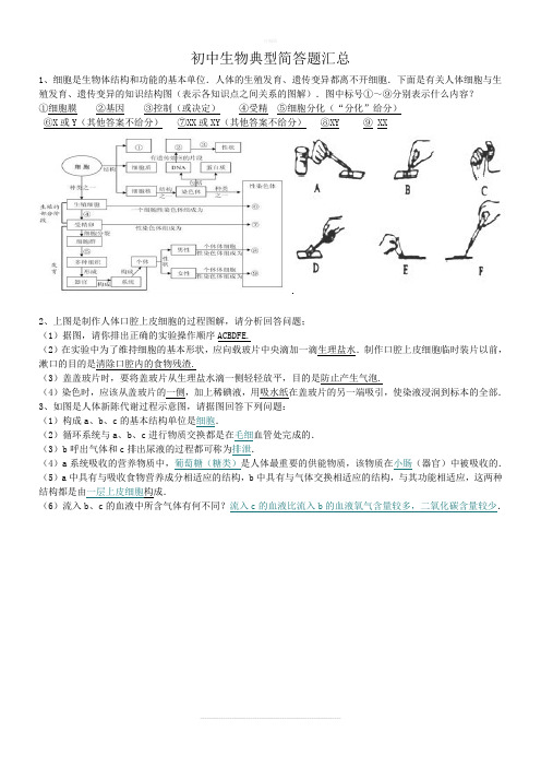 初中生物简答题汇总