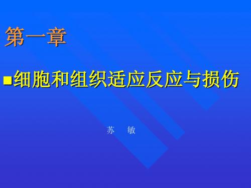 第一章细胞和组织适应反应与损伤(苏敏)