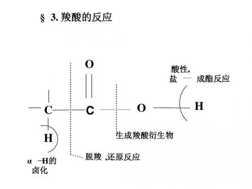 有机化学a2教学课件(吉林大学)羧酸的反应11-2