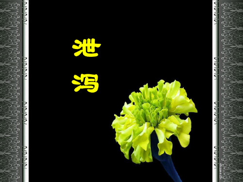 第七节 泄泻