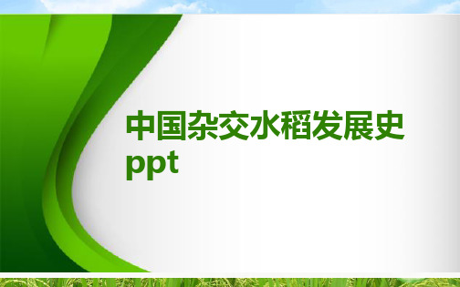 中国杂交水稻发展史 ppt