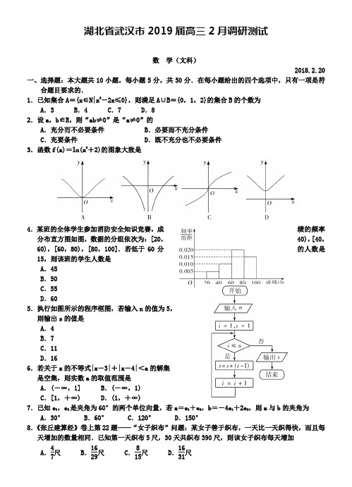 湖北省武汉市2019届高三2月调研测试数学文试题及答案