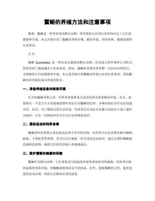 鬣蜥的养殖方法和注意事项