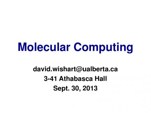 Molecular Computing