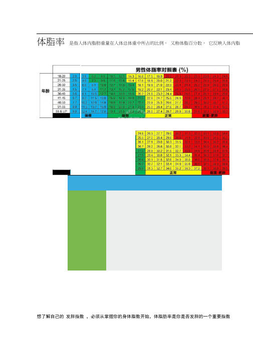 测测你的体脂率-附男女标准体脂率对照表