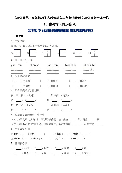 11 葡萄沟(同步练习)-人教部编版(含答案)