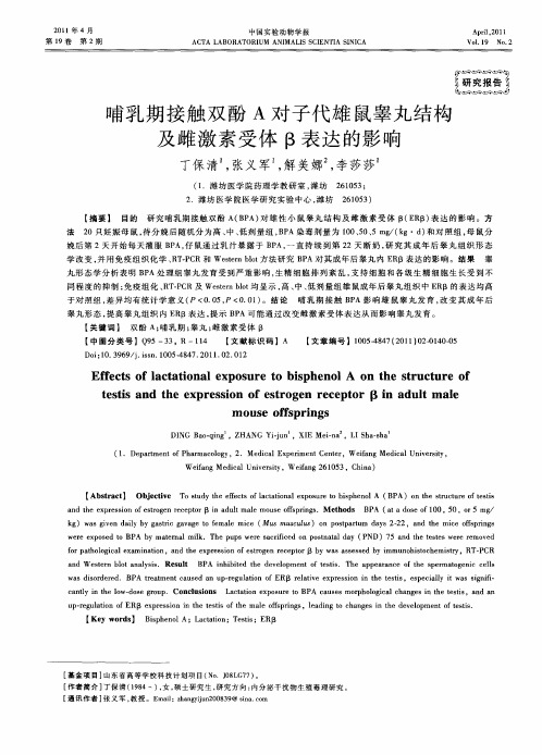 哺乳期接触双酚A对子代雄鼠睾丸结构及雌激素受体β表达的影响