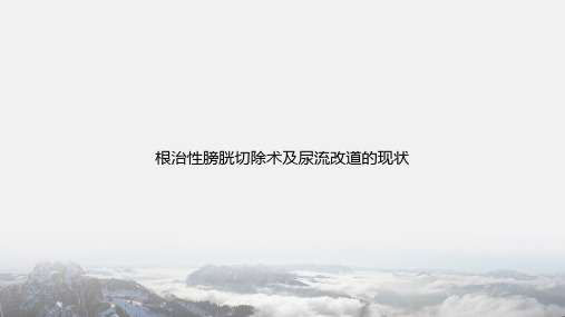 根治性膀胱切除术及尿流改道的现状讲课文档