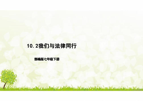 10.2 我们与法律同行 课件(31张PPT)-2023-2024学年统编版道德与法治七年级下册