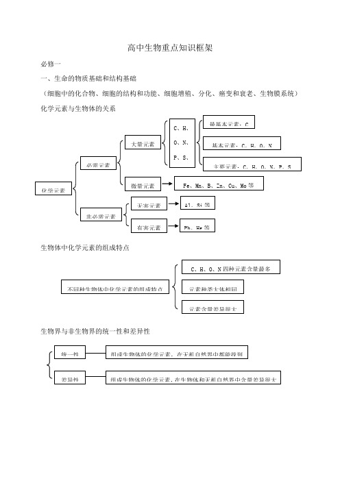 高中生物重点知识框架