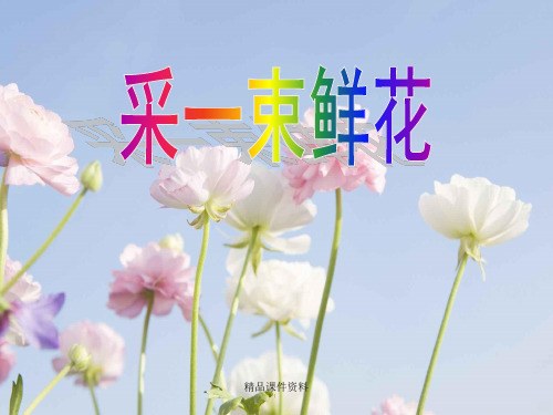 采一束鲜花PPT课件