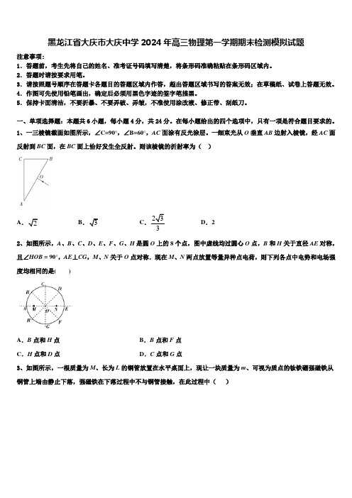 黑龙江省大庆市大庆中学2024年高三物理第一学期期末检测模拟试题含解析