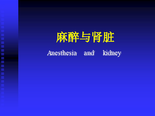 麻醉与肾脏-PPT精品课件