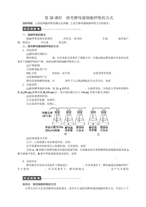 人教版高中生物必修一5.3探究本酵母菌细胞的呼吸方式