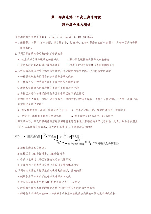 2019-2020年福建省泉港区高三上学期期末考试理科综合有答案-优质版